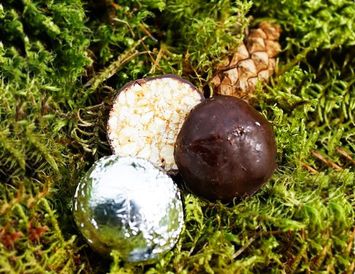 Кедровый грильяж в шоколаде ассорти  70 г.