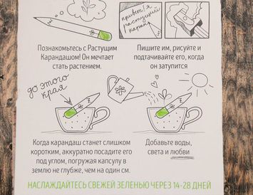 Набор "Растущие карандаши" для выращивания мяты, чабреца, мелиссы