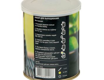 Набор для выращивания мяты к чаю