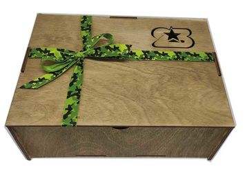 Современный Арсенал мини