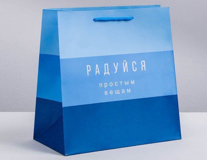 Пакет "Синий" 30 × 30 × 12 см
